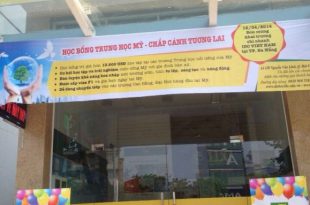 images stories gallery IDC DANANG IDCDANANG 579x771