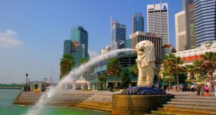 lion sea singapore fill 550x344