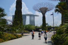 tour-singapore-2-fill-230x152