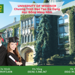 Theo học đại học Windsor – top đầu đại học ở canada và cơ hội nhận học bổng hàng năm tại trường 2019