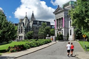 mcgill university idc