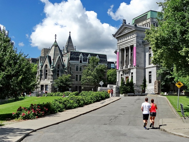 mcgill university idc