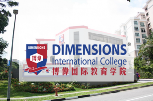 dimensions du hoc idc