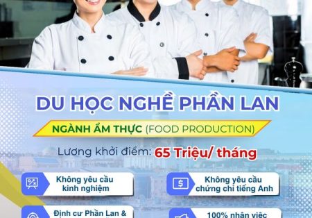 du hoc nghe phan lan