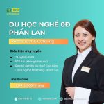 DU HỌC NGHỀ PHẦN LAN CHƯA BAO GIỜ HOT VỚI CHI PHÍ 0 ĐỒNG TẠI IDC