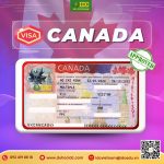 VISA CANADA HẠN 10 NĂM – Lựa chọn hoàn hảo cho các tín đồ yêu thích đất nước Canada