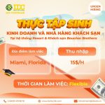 INTERNSHIP:Ưu đãi chương trình thực tập sinh / thực tập TẠI MỸ