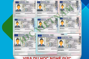 VISA NHOM DUC TONG HOP
