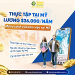 TRẢI NGHIỆM THỰC TẬP TẠI MỸ VỚI MỨC LƯƠNG $36.000/NĂM – CƠ HỘI BỨT PHÁ SỰ NGHIỆP QUỐC TẾ