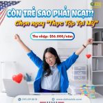 CÒN TRẺ SAO PHẢI NGẠI: 5 LÝ DO BẠN PHẢI THAM GIA CHƯƠNG TRÌNH THỰC TẬP TẠI MỸ NGAY