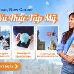 INTERNSHIP MỸ: NEW YEAR, NEW CAREER – CƠ HỘI TRỞ THÀNH THỰC TẬP SINH QUỐC TẾ CHỈ CÓ TẠI IDC VIETNAM