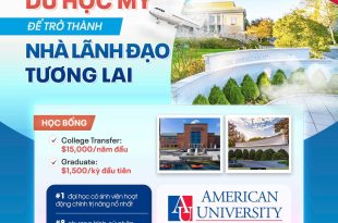 american university