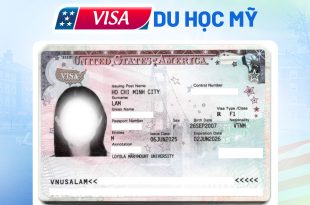 IDC LAM HOANG NHU NGOC VS DH MY