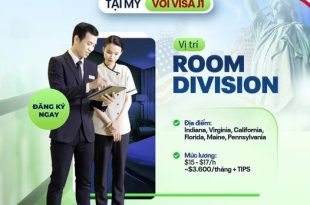 internship room division