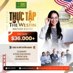 INTERNSHIP: THỰC TẬP TẠI MỸ – CƠ HỘI NÂNG TẦM BẢN THÂN CHO SINH VIÊN VIỆT