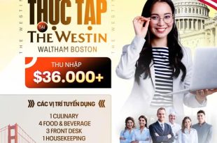 internship thuc tap tai westin