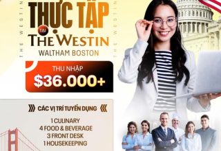 INTERNSHIP: THỰC TẬP TẠI MỸ - CƠ HỘI NÂNG TẦM BẢN THÂN CHO SINH VIÊN VIỆT 12 internship thuc tap tai westin