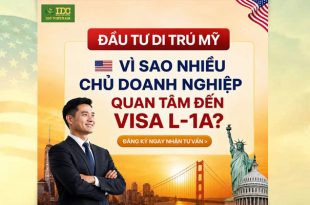 bg visa L1