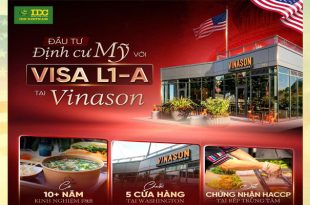 vinason l1 vissa