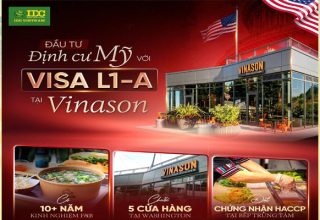 vinason l1 vissa