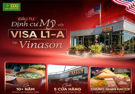 vinason l1 vissa
