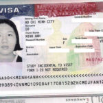 Chúc mừng Đỗ Minh Anh đã đạt Visa