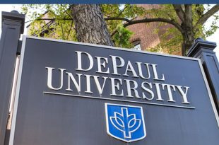 depaul idc vietnam